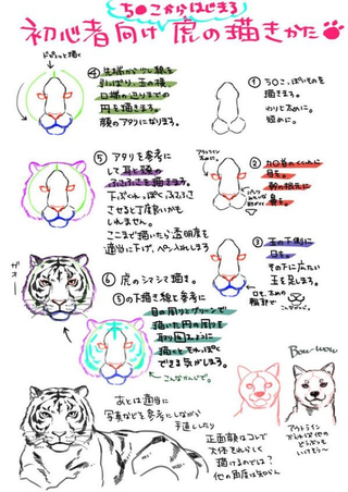 Illustration for article titled How To Draw a Tiger from a Penis